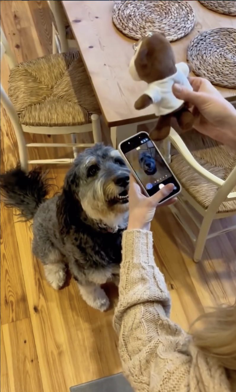 Abigail holding Murph beside her phone while her dog looks up at the camera