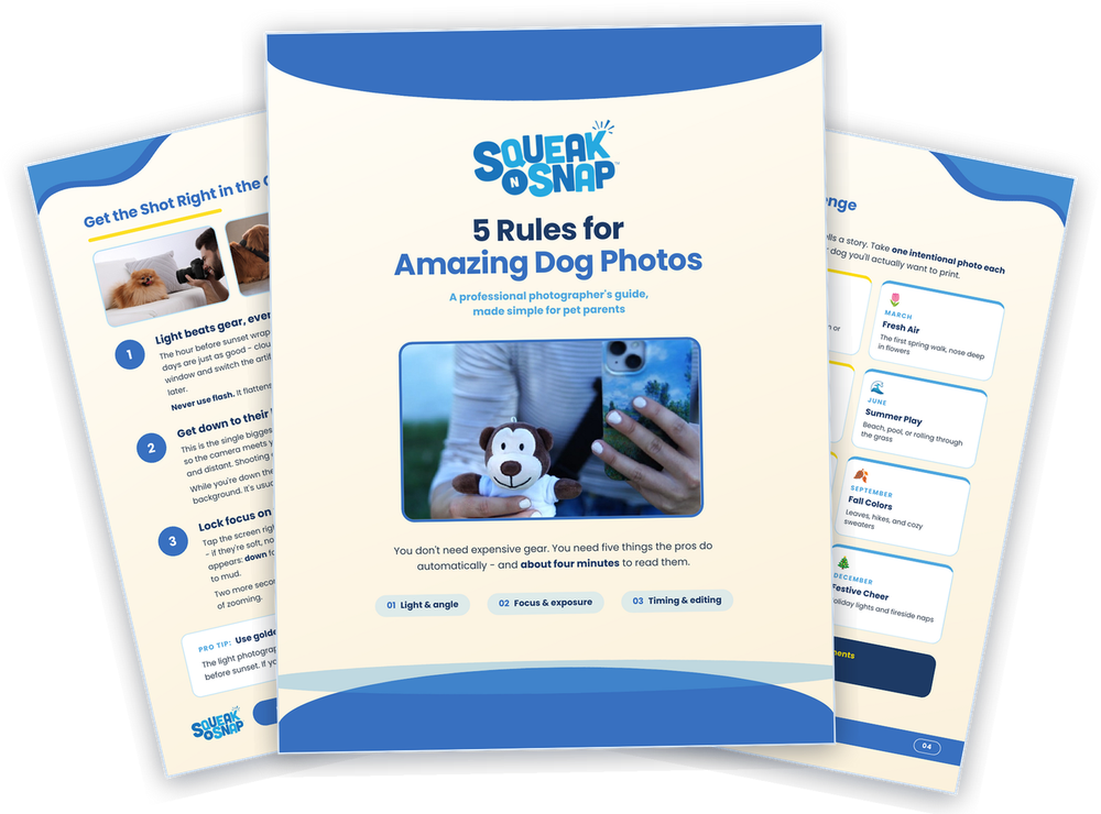 The Squeak N Snap guide, 5 Rules for Amazing Dog Photos, fanned open to show dog photography pages